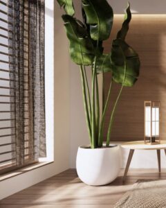 Descubriendo la Belleza del Estilo Japandi en tu Hogar